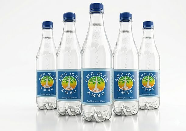 Ambo Mineral Water (500ml)